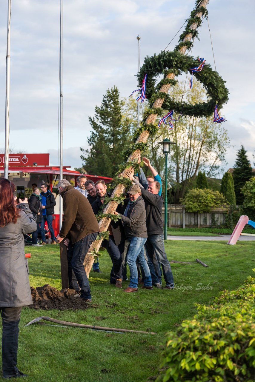 Bild 68 - Maibaum